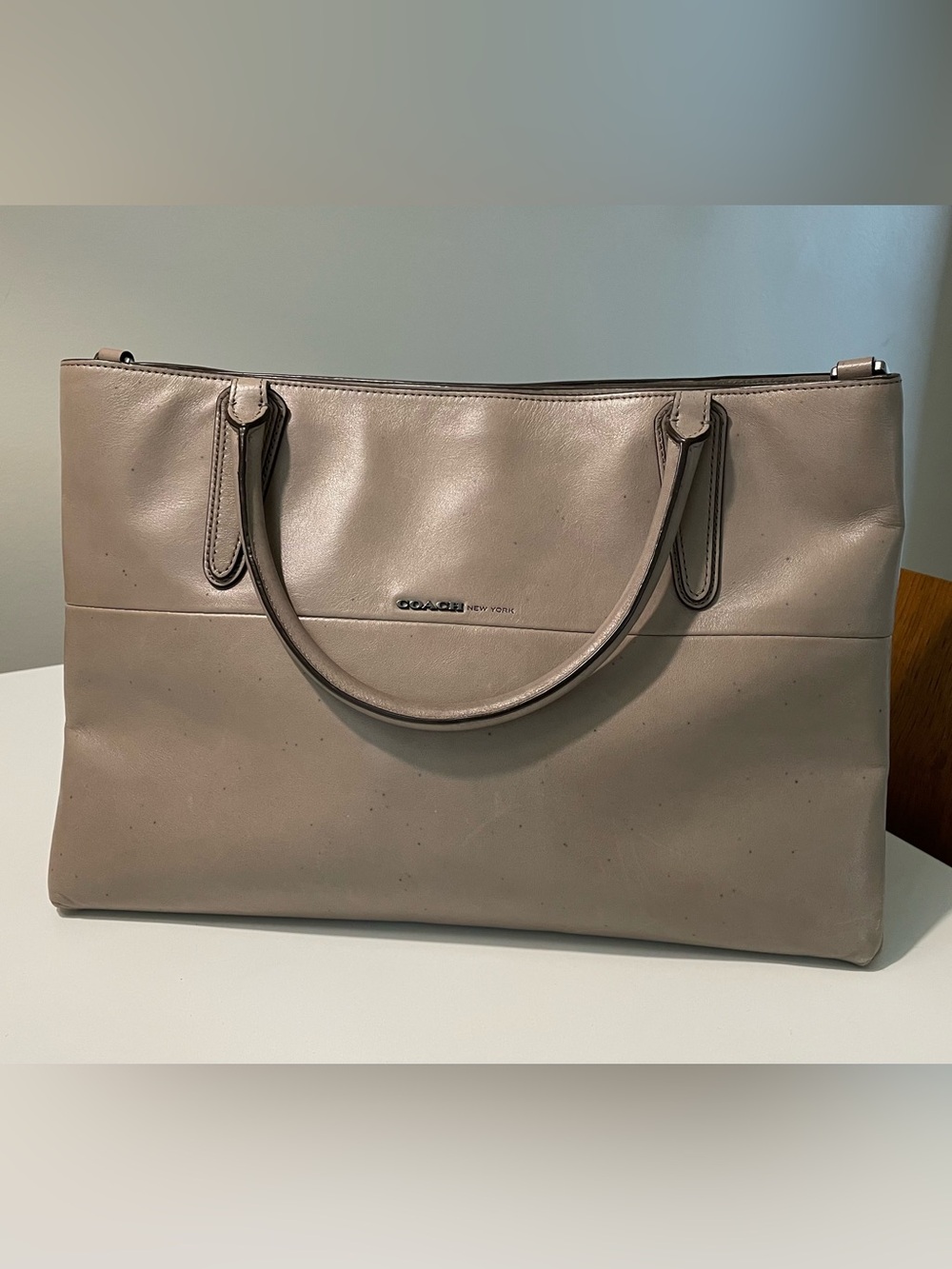 Coach Borough Carryall in Earth Gray